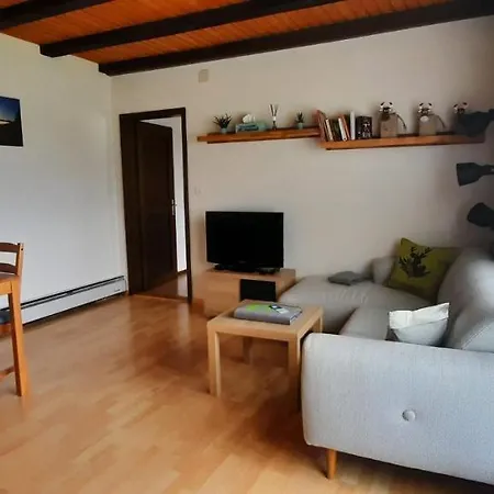 Ferienwohnung Schafbergblick Wildhaus Exterior photo